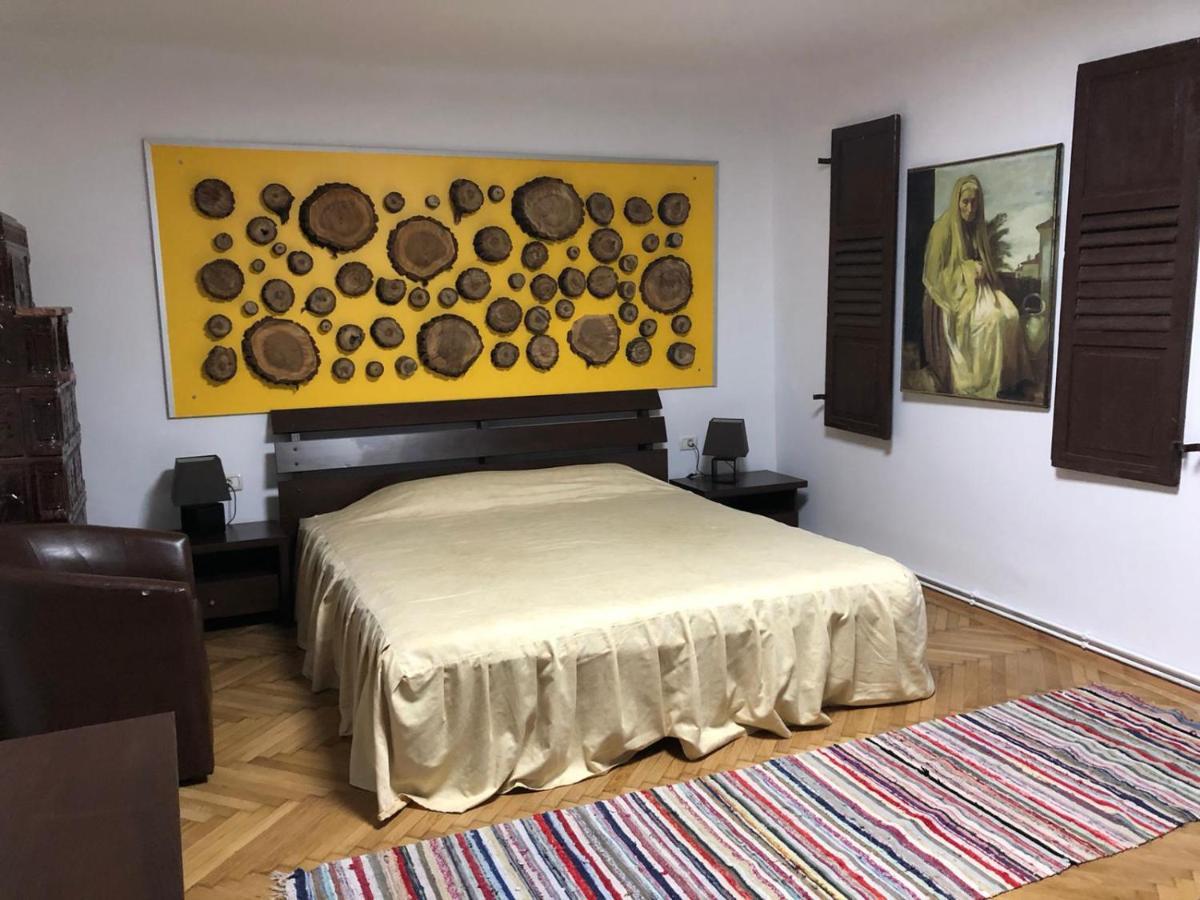 Apartmán Garsoniera Centru Brašov Exteriér fotografie